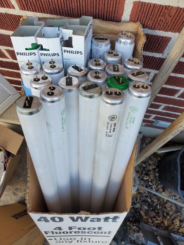 Fluorescent Tubes, 48-in, Each