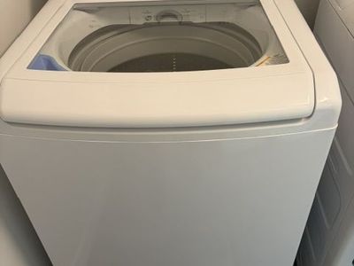LG WT6100CW 4.3 CF Impeller Washing Machine
