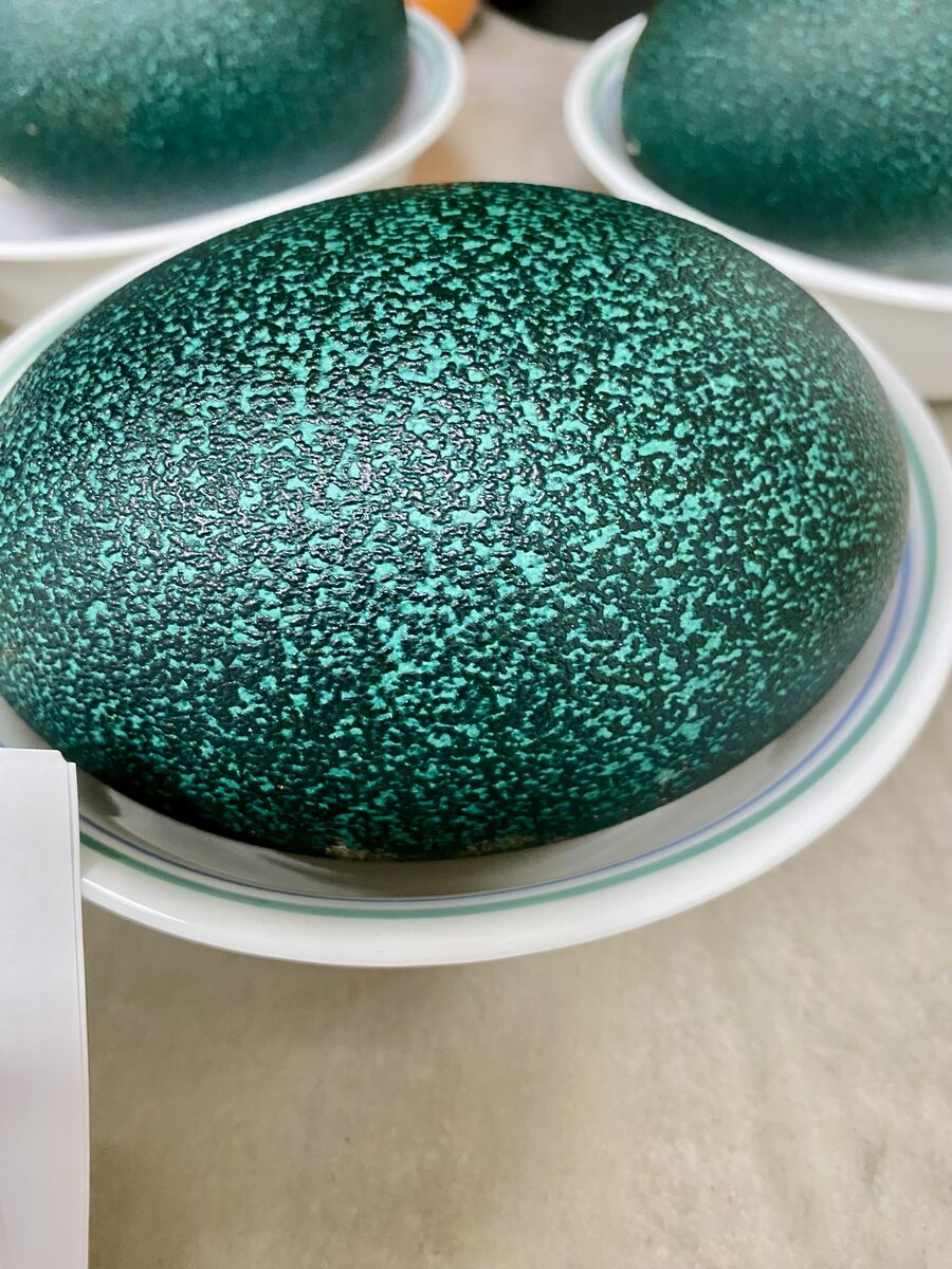 Fresh Emu Eggs