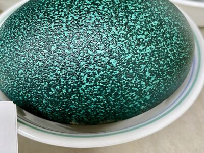 Fresh Emu Eggs
