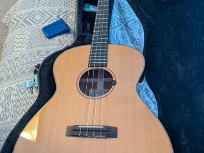 Pono Nui ( tenor guitar)