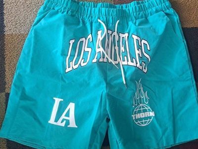 Brand new mens swim trunks