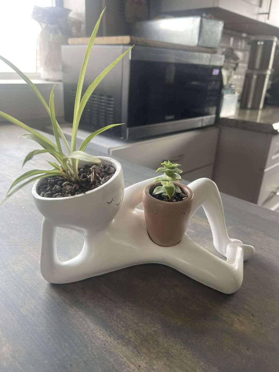 Unique Human Figure Ceramic Planter with Pots and Plants