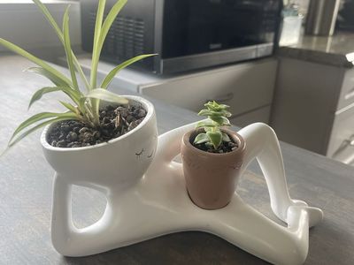 Unique Human Figure Ceramic Planter with Pots and Plants