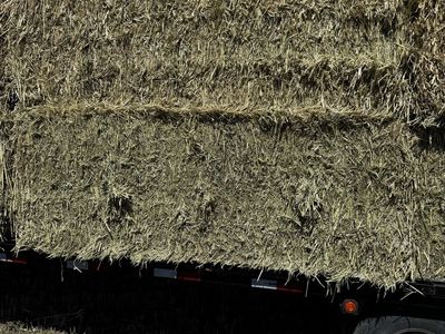 Feeder Hay
