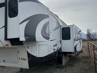 CHAPARRAL by coachman