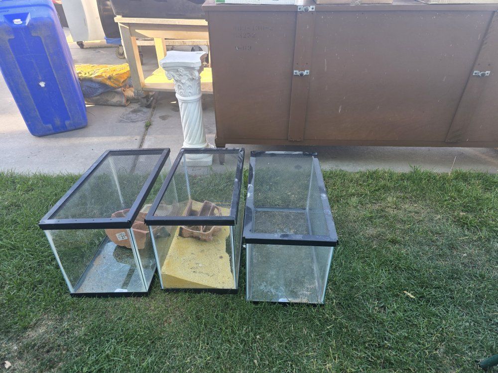 10 Gallon Aquariums