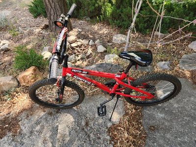20 Inch Kid's Bike