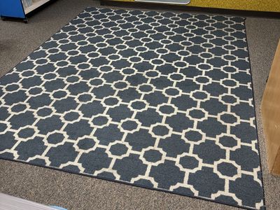 8x10 Blue and White Rug