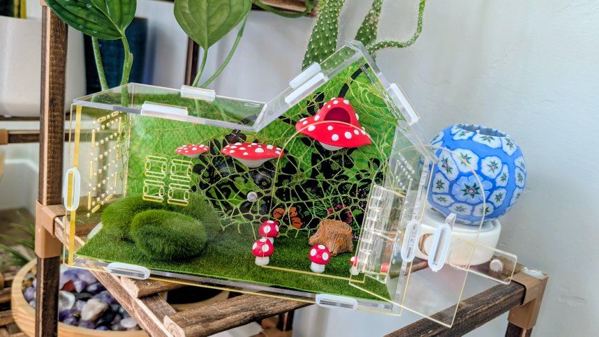 Jumping spider enclosure, jumping spider terrarium, spider house. No spider