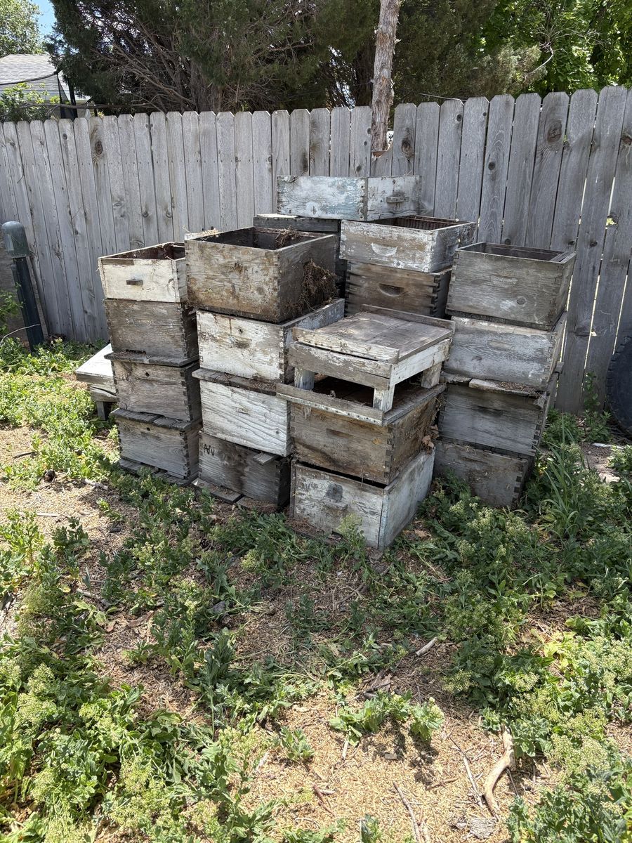 Bee boxes  FREE!
