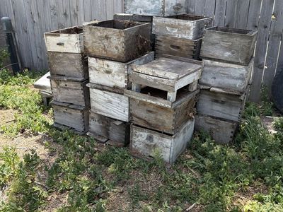 Bee boxes FREE!