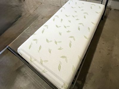 Black Metal Twin Bed Frame with Green Leaf Pattern Mattress