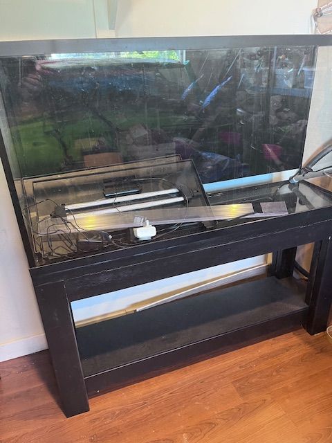 55 Gallon Fish Tank Aquarium