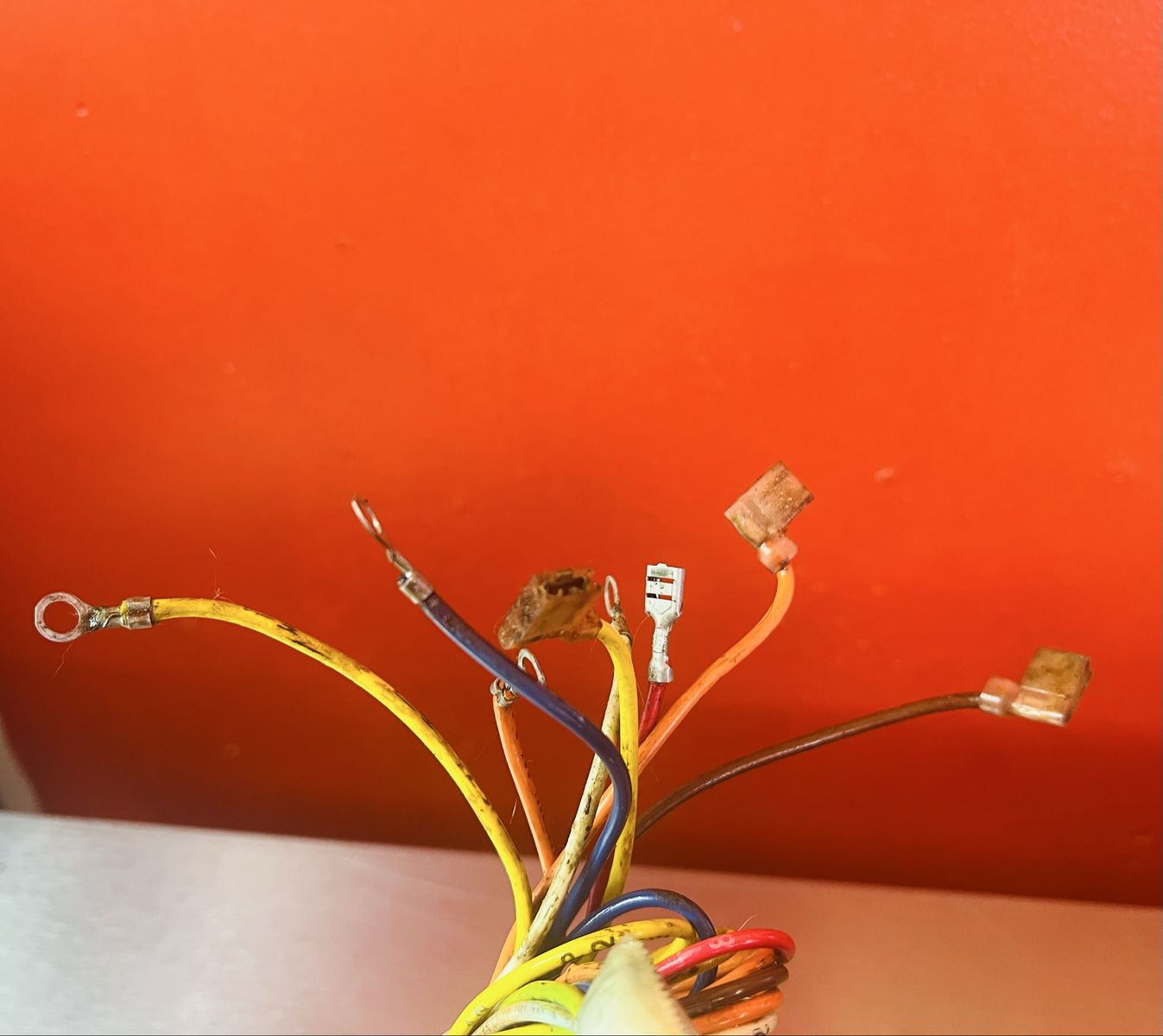 Main image 5