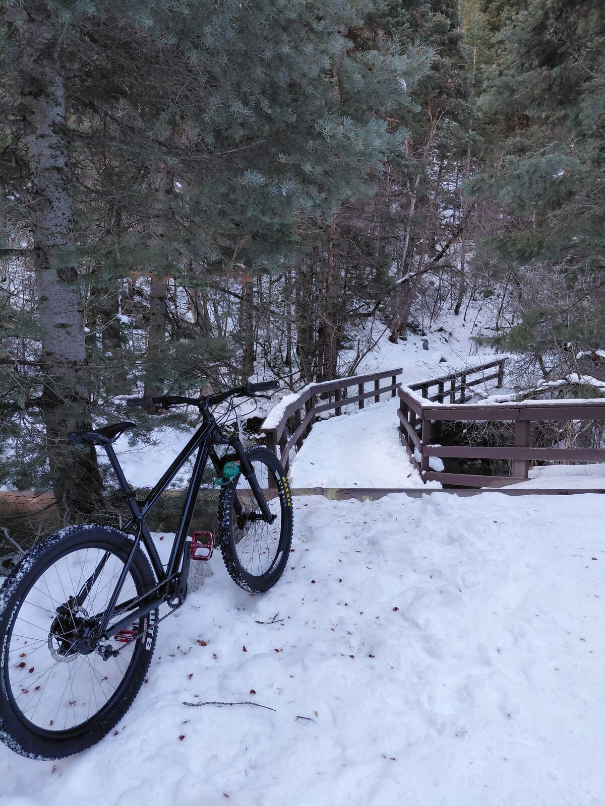 Vitus Nucleus with Rohloff