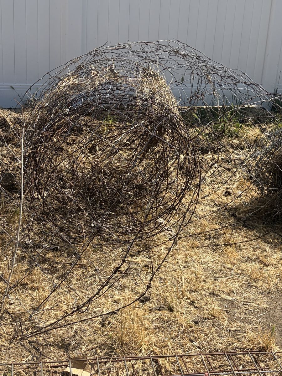 Field Fence