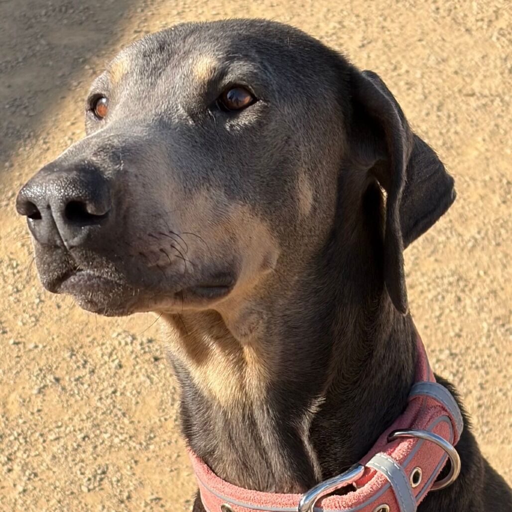 Hello my name is Frau