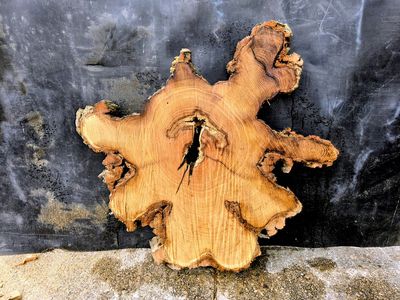 Black Locust stump/root wood Slab 40"×40×38" 3" thick