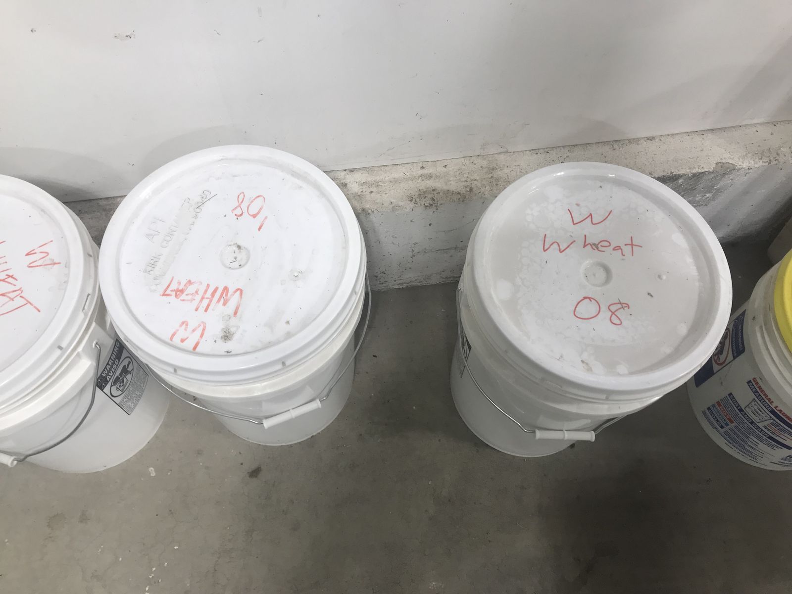 Wheat berries for Sale, New unopened