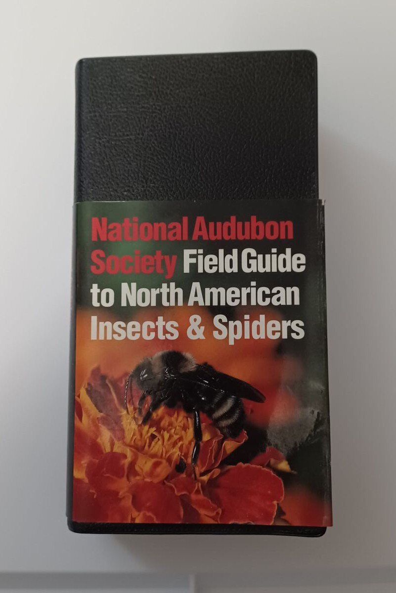 Field Guide to NA Insects and Spiders