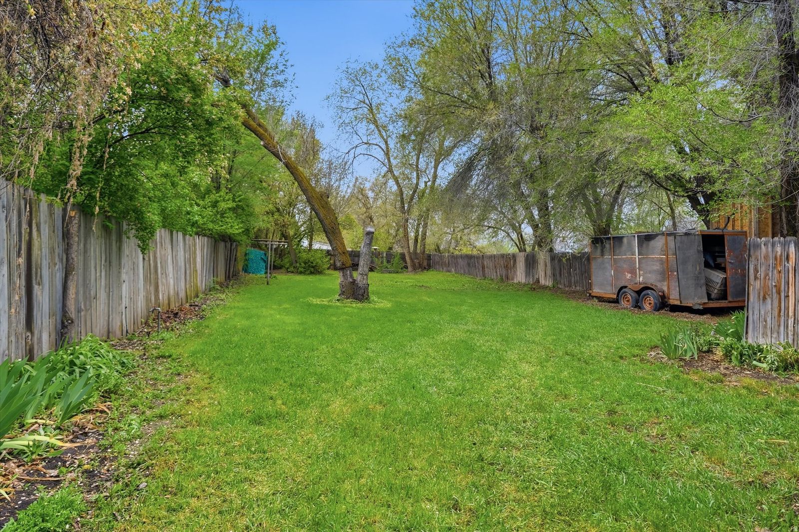 Main image 17