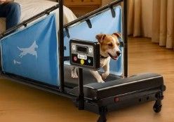 PawRunner Pet Treadmill - Great Condition