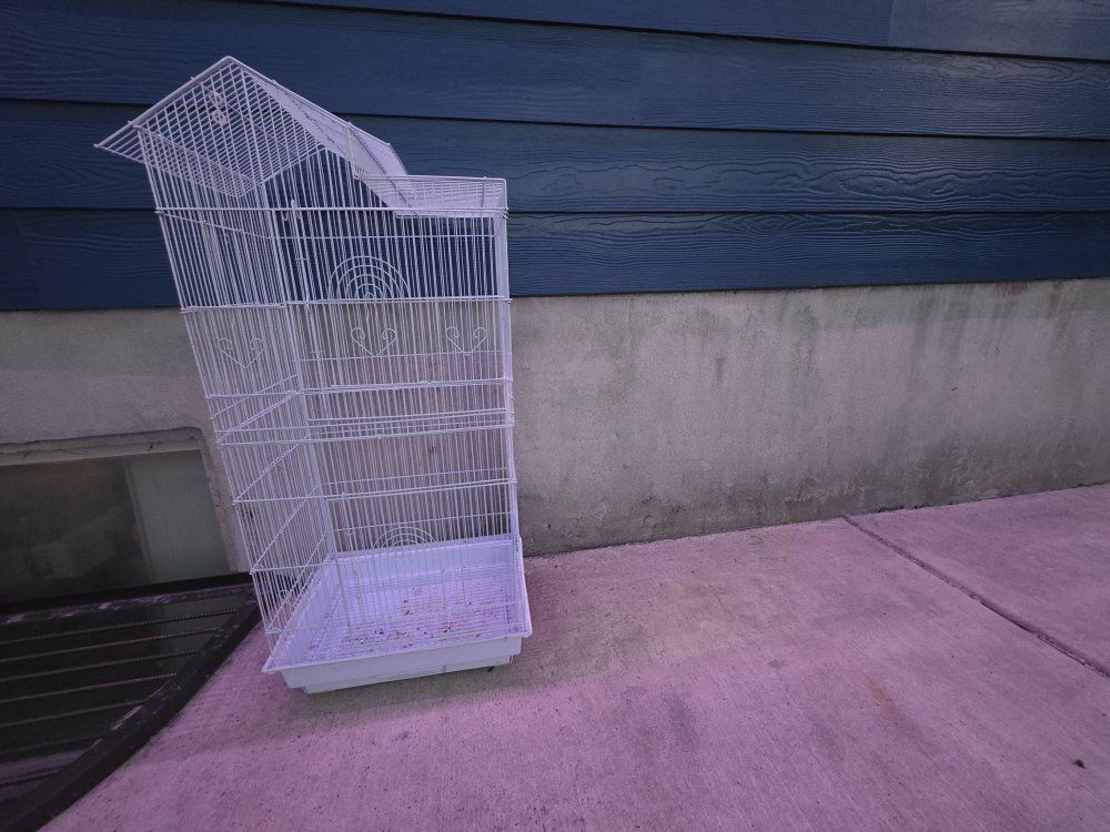 parakeet cage