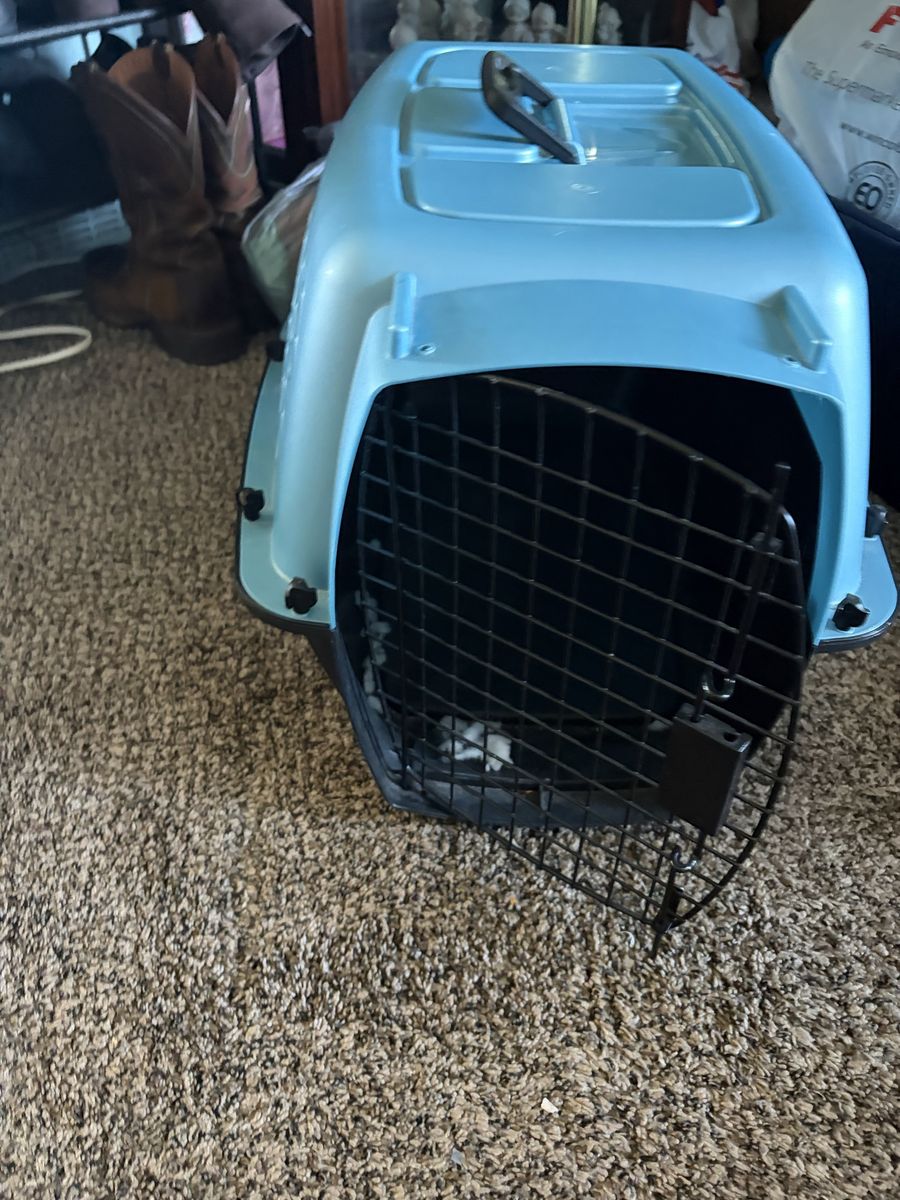 Light Blue Plastic Pet Carrier Small Crate for Cats or Small Dogs Travel Kennel