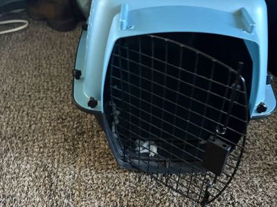 Light Blue Plastic Pet Carrier Small Crate for Cats or Small Dogs Travel Kennel