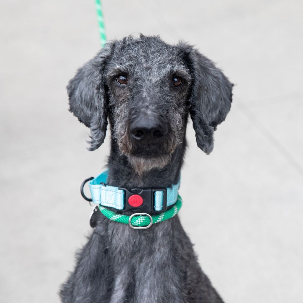 Hello my name is Benny