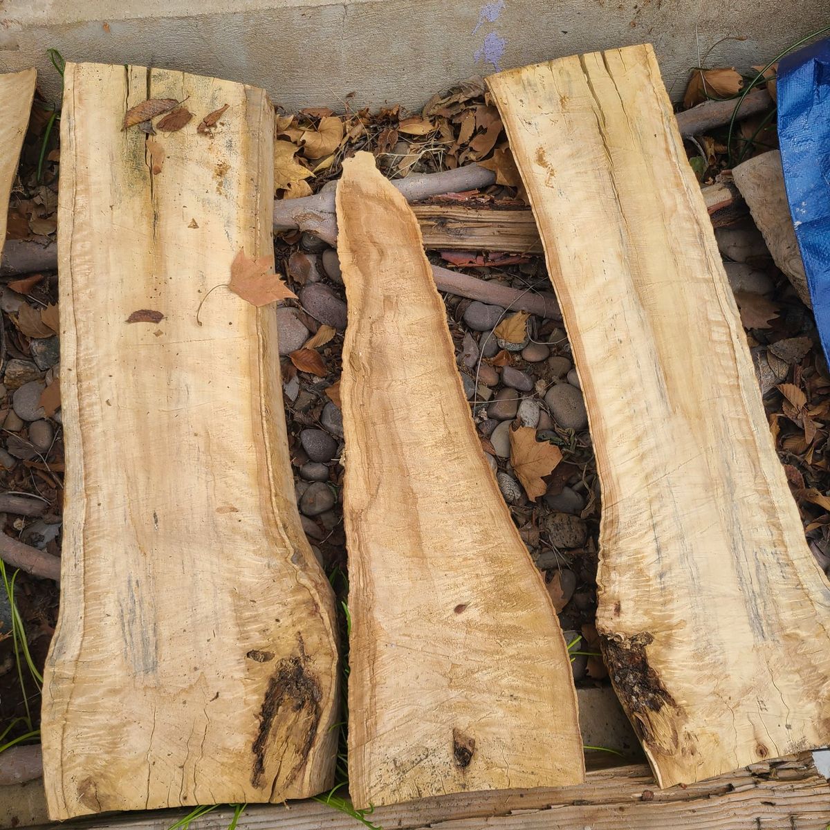 Cottonwood Slabs, (pic 5)$5 board ft. Cash only