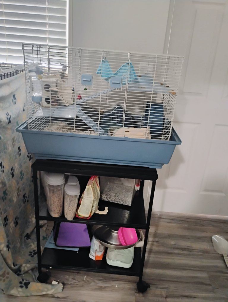 complete hamster cage setup to include stand, food, hamster, bath house & sand, and all supplies