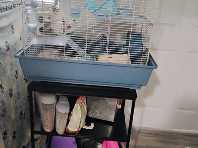 complete hamster cage setup to include stand, food, hamster, bath house & sand, and all supplies