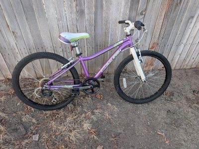 Raleigh Ivy 24" Girls Bike