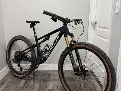Specialized Epic Evo (Medium)