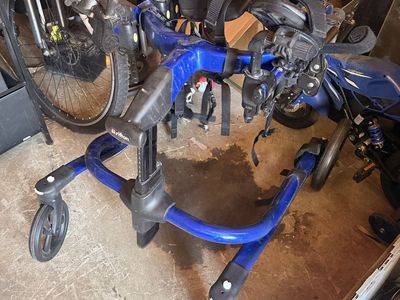 Pacer gait trainer