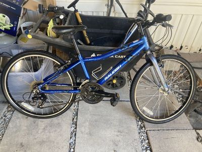Raleigh mtn jt. 24inch kids mountain bike