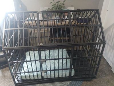 Heavy Duty Dog Crate with Removable Tray - Large, Secure, and Comfortable Pet Kennel