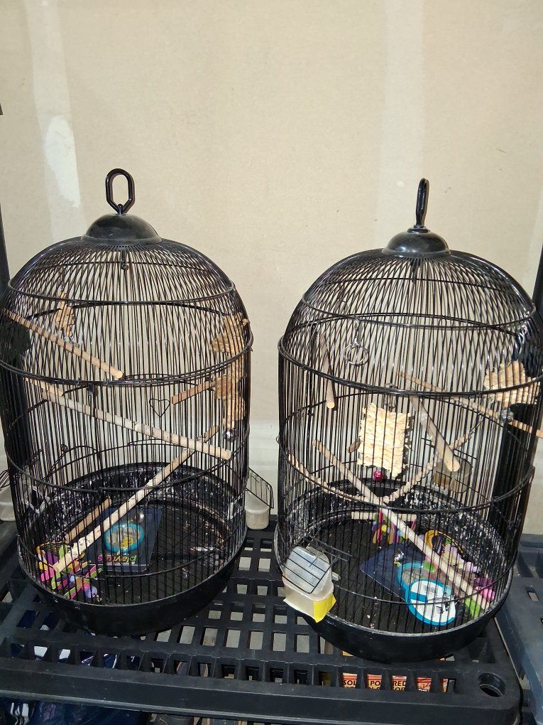 bird cages