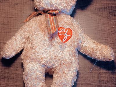 2002 Ty Signature Bear Beanie Babies