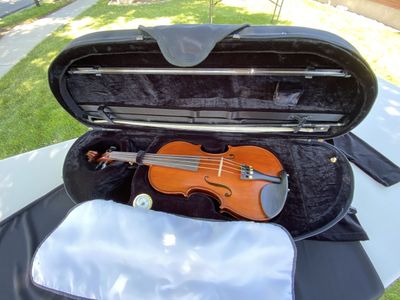 Andare Model GE-II Viola