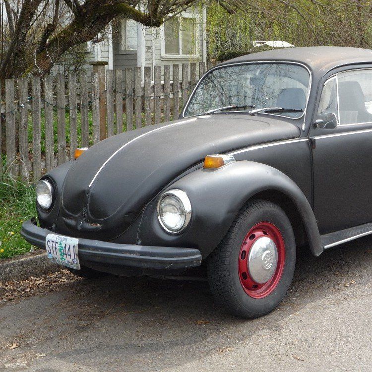 volkswagen front fenders wanted