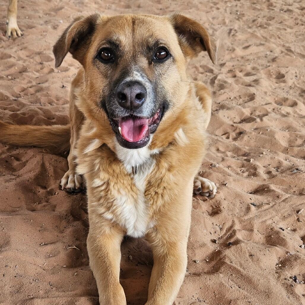 Hello my name is Marmoset