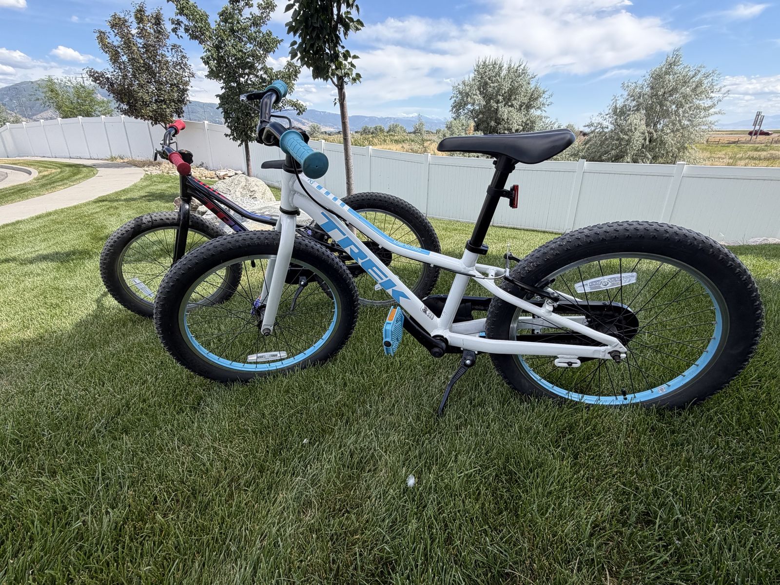 Trek Precaliber 20 Kids’ Bikes — Set of 2 (Fat Tire)