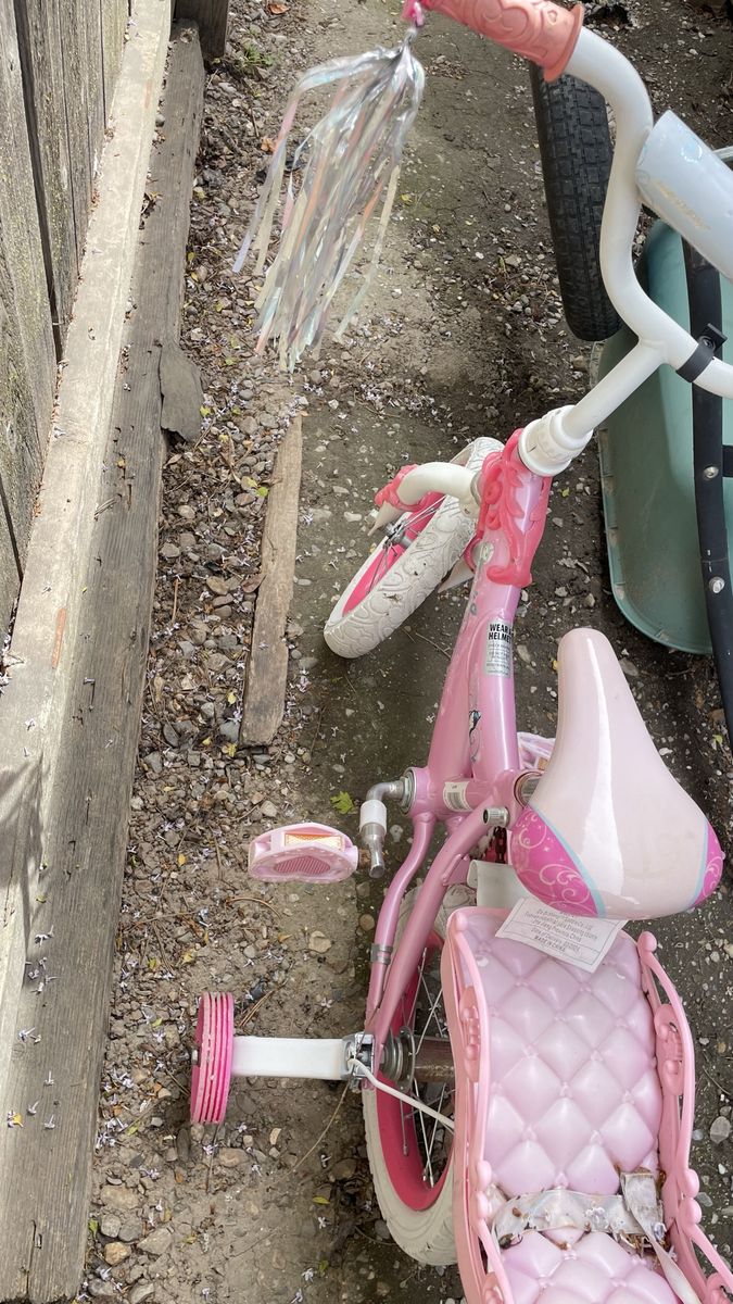 Toddler Girls Bike.