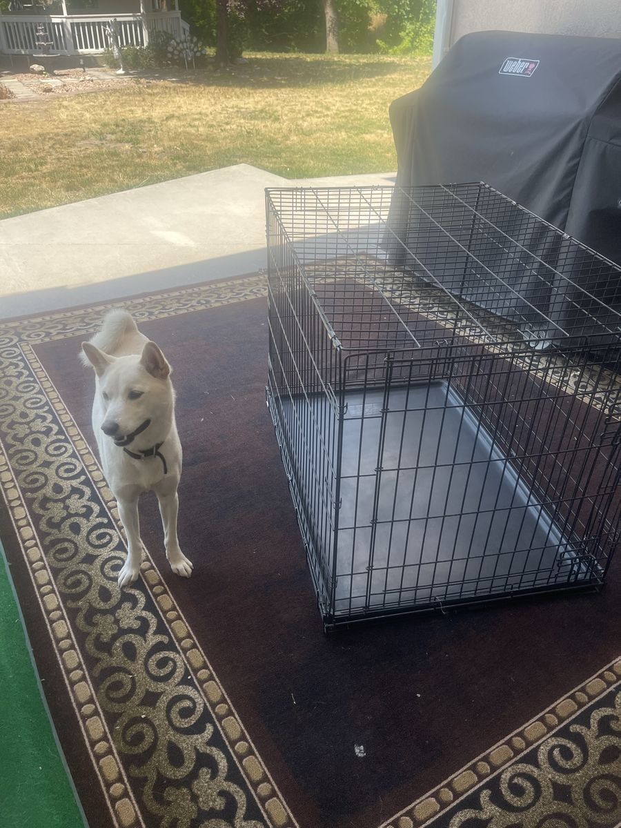 Main image 2