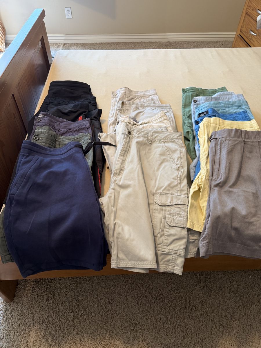 Men's Shorts Lot Size 38 - Cargo, Chino & Sweat Shorts (Assorted Brands)