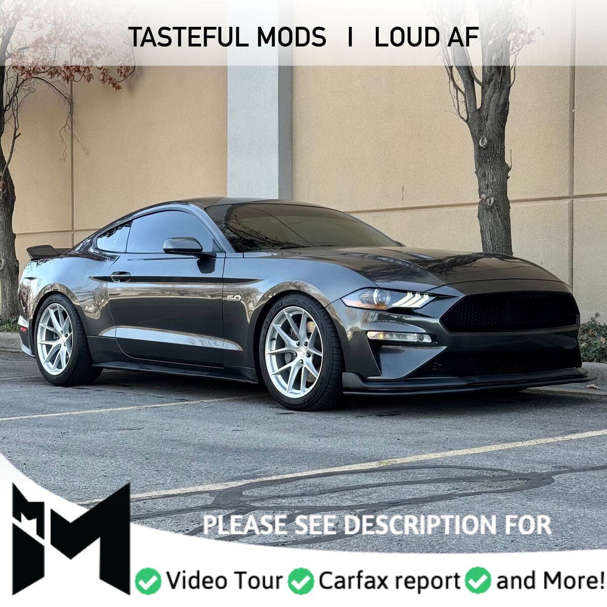 2019 FORD MUSTANG GT