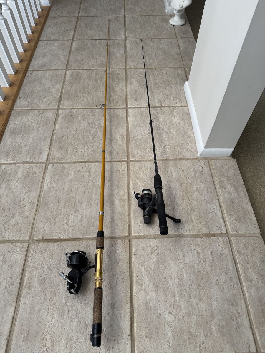 Fishing poles and reels